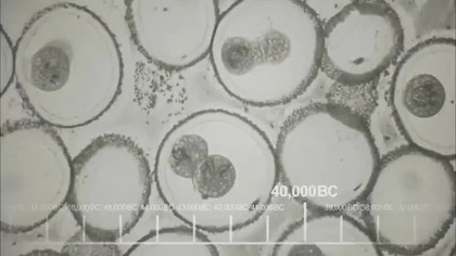 Teoria Wielkiego Podrywu - S04E24 - FINAŁ SEZONU