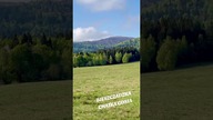 Piękny poranek w Bieszczadach #bieszczady #wbieszczady #góry #wgóry #górskie #wbiesy #przyroda