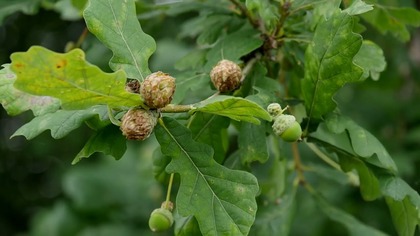 Park młodych mieszkańców