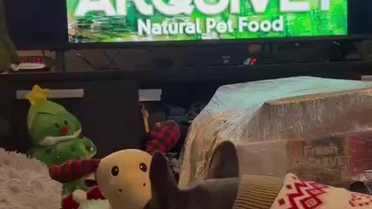 Paczuszka dla Secika, od firmy , którą reklamuję Piesek.