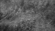 Ruchome piaski (1968)