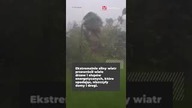 Huragan Beryl uderzył w Jamajkę