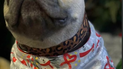 Wreszcie mróz na zewnątrz .