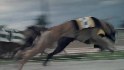 Hazardowe. szalenstwo. 1978.pl. wasik