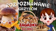  Rozpoznawanie grzybów TEST GRZYBIARZA cz.  1-3  Grzybobranie dla dzieci -