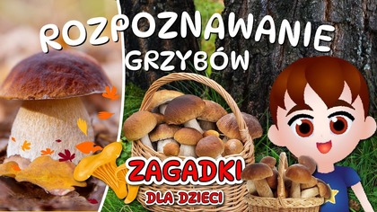  Rozpoznawanie grzybów TEST GRZYBIARZA cz.  1-3  Grzybobranie dla dzieci -