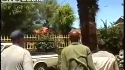 Palma plus auto z dodatkiem kilku fachowcow