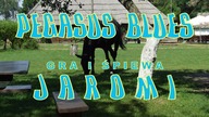 JAROMI - PEGASUS BLUES