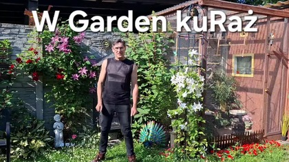 Kury i ogród * Rano w sobotę * 28 czerwiec 2025 * cz. 1