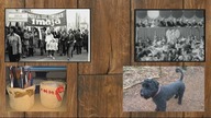 Jak kiedyś wyglądały pochody 1-majowe  * koszyczki * nowa fryzura Dimka