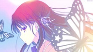 C006 - Starcie