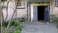 Osiedlowe wyścigi