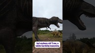 Czy tyranozaur pojedynkował się z triceratopsem? #paleontologia #dinozaury