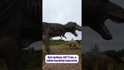 Czy tyranozaur pojedynkował się z triceratopsem? #paleontologia #dinozaury