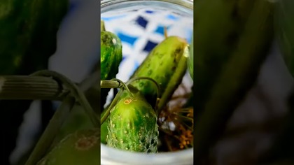 http://youtu.be/tvdjavRHY64

Chrupiące i aromatyczne, proste i szybkie w przygotowaniu ogórki małosolne, są smaczną przekąską, dodatkiem do kanapek, sałatek a także drugich dań. Można je zajadać już następnego dnia po przygotowaniu.


składniki na 1 kg ogórków

1 kg małych ogórków gruntowych

1 litr wrzątku

2 łyżeczki soli

5-6 baldachimów suszonego kopru

6 ząbków czosnku


Po więcej pysznych przepisów zapraszam na bloga : http://smakowitedania.blogspot.com/

Zapraszam do komentowania i subskrybowania mojego kanału;) https://www.youtube.com/user/SmakowiteDania


Muzyka : Sophomore Makeout, Silent Partner https://www.youtube.com/audiolibrary/music