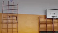 Poleciał jak świnia w pomidory #shorts #viral #sports
