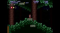 Mario Forever Mario In The Forest Chapter 5 AhirukuTchi