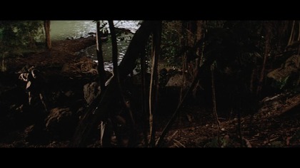 indiana jones i poszukiwacze zaginionej arki | scena głazowa |