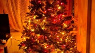 Choinka i dekoracje świąteczne  #choinka #christmas #vlogmas #shorts