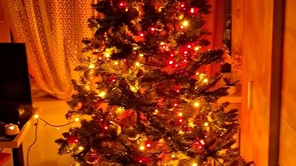 Choinka i dekoracje świąteczne  #choinka #christmas #vlogmas #shorts