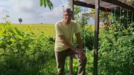 Rozwiązałem problem z nadmiarem sałaty i królików.