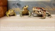 Frog Spirits - who are they?