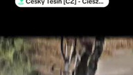 oddawać mi stan prawny z 2018 r firma żonę dzieci złodzieje rodzice i urzędnicy