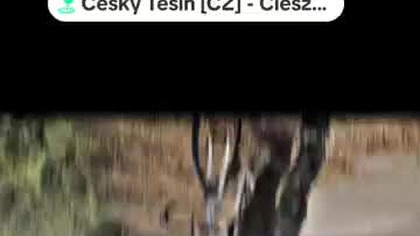 oddawać mi stan prawny z 2018 r firma żonę dzieci złodzieje rodzice i urzędnicy