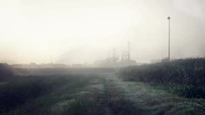 Dedektw 6