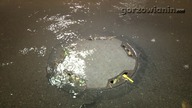 Gorzów zalany po raz kolejny