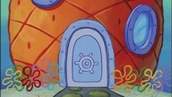 Bezpieczna droga z radami SpongeBoba - cała płyta DVD