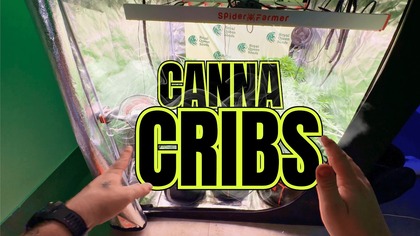 MÓJ KOMPLETNY ZESTAW DO ZDALNEJ UPRAWY