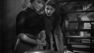 Lecą. żurawie. 1957. Lektor.pl