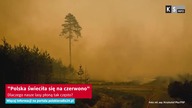 Polska świeciła się na czerwono.  Dlaczego nasze lasy płoną tak często? [KS Info]