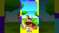 Beagle - Psy dla dzieci - Bajka edukacyjna