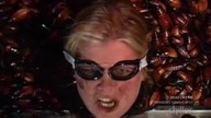 Fear Factor S02E20 summary