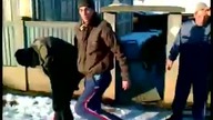 Zjazd na sankach w Rumunii