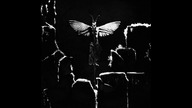 Dark Recollection - Death Angel