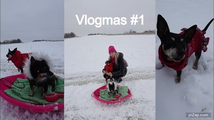 Vlogmas 1 Napadało dużo śniegu