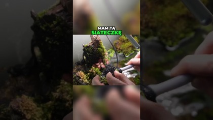 Dżdżownica w akwarium O_O #akwarium #aquascape #akwarystyka #paludarium