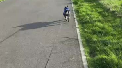 b5c629c9-98ac-4d52-9ab3-17aea50939cb