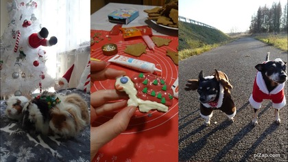 Vlogmas 13 Pieczemy pierniczki