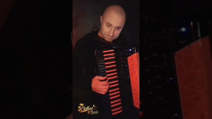 Chill Flow  Relaxing Accordion Music#shorts#chillmusic#accordion#instrumental#relax