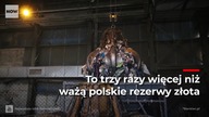 Polska to śmietnik dla Europy