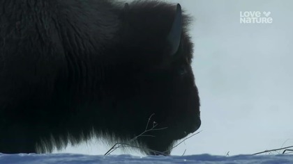 LOVENATURE - 24-02-2026 - Zapowiedzi, Identy, Spoty