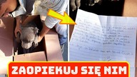 Chłopiec zostawił psa w schronisku, w liście okazało się, że chciał go chronić przed...
