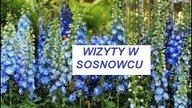 SOSNOWIEC WIZYTY 19 VIII 22