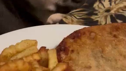 Jak można to jeść!?