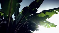 Sara Lugo feat.  Protoje - Really Like You