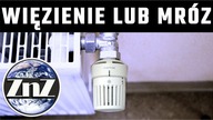Szwajcaria wprowadza karę więzienia za nielegalne ogrzewanie domu
